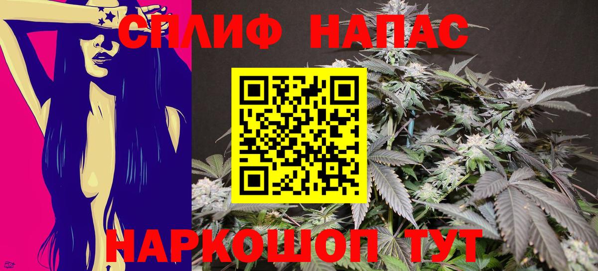 Канабис план Вольск